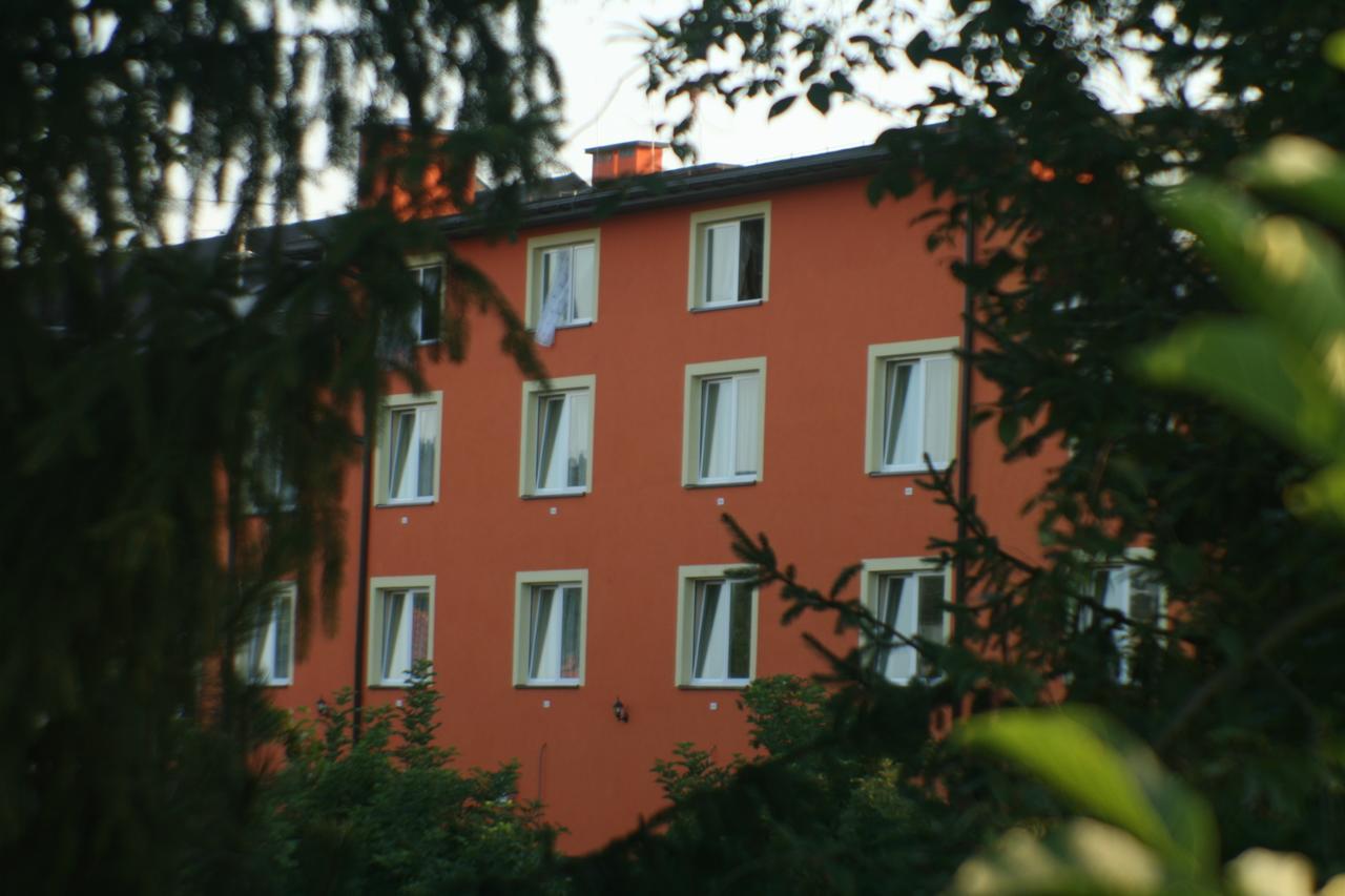 Daisy Budget Cracovia