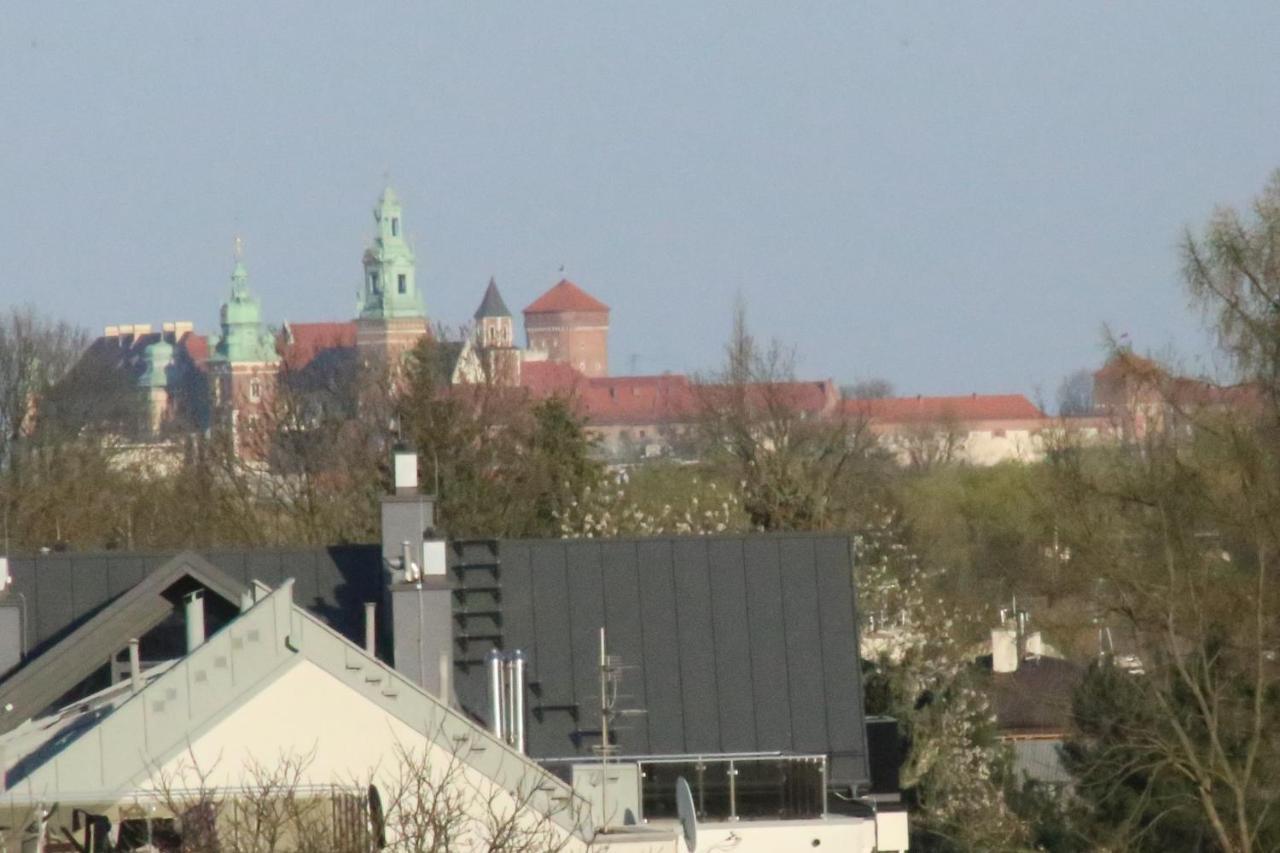 Daisy Budget Cracovia
